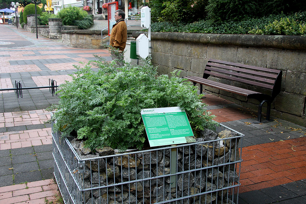 2008-07-22-01, Bad Dreiburg - 0959.jpg